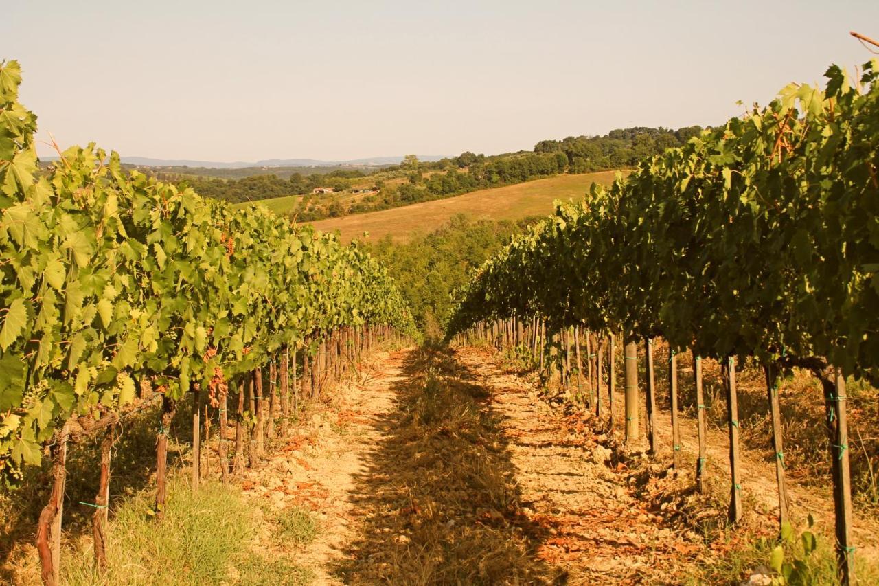 La Torre In Chianti
